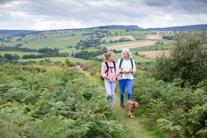 Two people walk a dog through the countryside