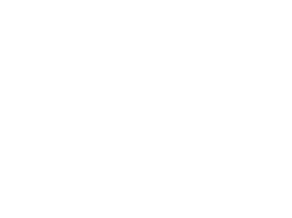 The LifeCurve logo